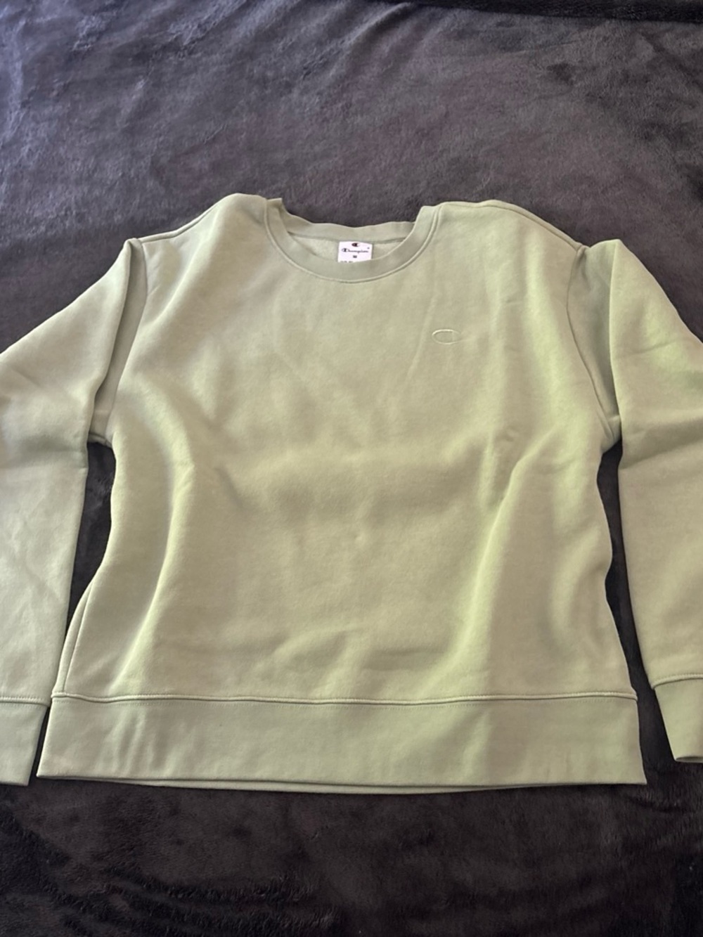 Champion Light Sage Crewneck Sweater - Women's